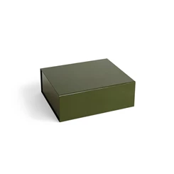 Hay-Colour-Storage-M-doos-met-magneetsluiting-295x35cm-olive