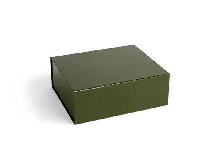 Hay-Colour-Storage-M-doos-met-magneetsluiting-295x35cm-olive