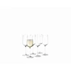Holmegaard-Bouquet-champagneglas-29cl-set-van-6