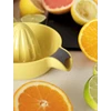 Rigtig-Juicy-citruspers-geel