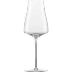 Schott-Wine-Classics-Select-sauvignon-blancglas-nr123-set-van-6