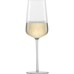 Schott-Zwiesel-Vervino-champagne-glas-nr77-set-van-6