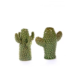 cactus-mini