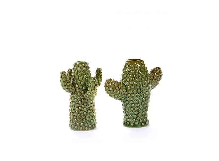 cactus-mini