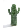 cactus-medium
