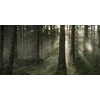 Skandinavisk-Hand-Body-lotion-450ml-Skog-Forest