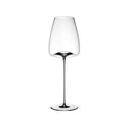Zieher-Vision-set-van-2-wijnglas-Straight
